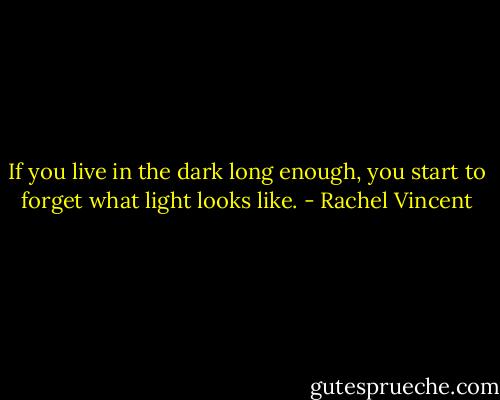 If you live in the dark long enough, you start to forget what light looks like. - Rachel Vincent