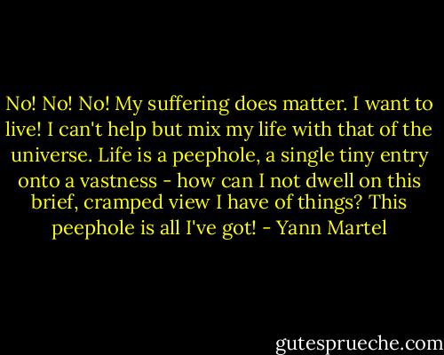 No! No! No! My suffering does matter. I want to live! I can't help but mix my life with that of the universe. Life is a peephole, a single tiny entry onto a vastness - how can I not dwell on this brief, cramped view I have of things? This peephole is all I've got! - Yann Martel