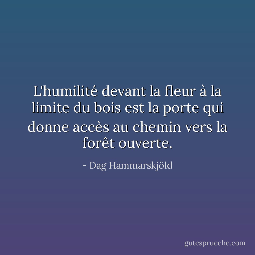 L'humilité devant la fleur à la limite du bois est la porte qui donne accès au chemin vers la forêt ouverte. - Dag Hammarskjöld