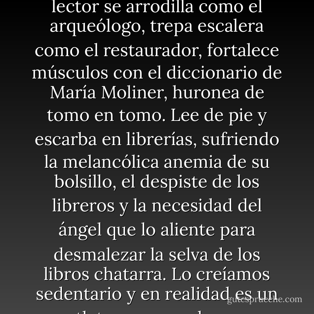 Lector se nace, lector se hace, lector se muere. Como el hábito no tiene finalidad práctica, no admite renuncia por abandono ni por desaliento ante el posible competidor.<br />El lector se arrodilla como el arqueólogo, trepa escalera como el restaurador, fortalece músculos con el diccionario de María Moliner, huronea de tomo en tomo. Lee de pie y escarba en librerías, sufriendo la melancólica anemia de su bolsillo, el despiste de los libreros y la necesidad del ángel que lo aliente para desmalezar la selva de los libros chatarra.<br />Lo creíamos sedentario y en realidad es un atleta, comparado con prójimos que sortean estas gimnasias y se solidifican en ángulo recto frente a las pantallas... - María Elena Walsh