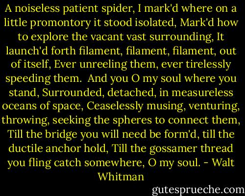 A noiseless patient spider,<br />I mark'd where on a little promontory it stood isolated,<br />Mark'd how to explore the vacant vast surrounding,<br />It launch'd forth filament, filament, filament, out of itself,<br />Ever unreeling them, ever tirelessly speeding them.<br /><br />And you O my soul where you stand,<br />Surrounded, detached, in measureless oceans of space,<br />Ceaselessly musing, venturing, throwing, seeking the spheres to connect them,<br />Till the bridge you will need be form'd, till the ductile anchor hold,<br />Till the gossamer thread you fling catch somewhere, O my soul. - Walt Whitman