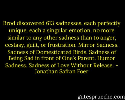Brod discovered 613 sadnesses, each perfectly unique, each a singular emotion, no more similar to any other sadness than to anger, ecstasy, guilt, or frustration. Mirror Sadness. Sadness of Domesticated Birds. Sadness of Being Sad in front of One’s Parent. Humor Sadness. Sadness of Love Without Release. - Jonathan Safran Foer