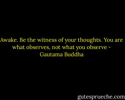 Awake. Be the witness of your thoughts. You are what observes, not what you observe - Gautama Buddha