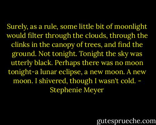 Surely, as a rule, some little bit of moonlight would filter through the clouds, through the clinks in the canopy of trees, and find the ground.<br />Not tonight. Tonight the sky was utterly black. Perhaps there was no moon tonight-a lunar eclipse, a new moon.<br />A new moon. I shivered, though I wasn't cold. - Stephenie Meyer