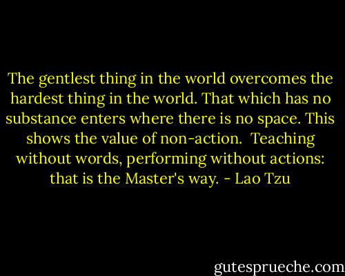 The gentlest thing in the world<br />overcomes the hardest thing in the world.<br />That which has no substance<br />enters where there is no space.<br />This shows the value of non-action.<br /><br />Teaching without words,<br />performing without actions:<br />that is the Master's way. - Lao Tzu