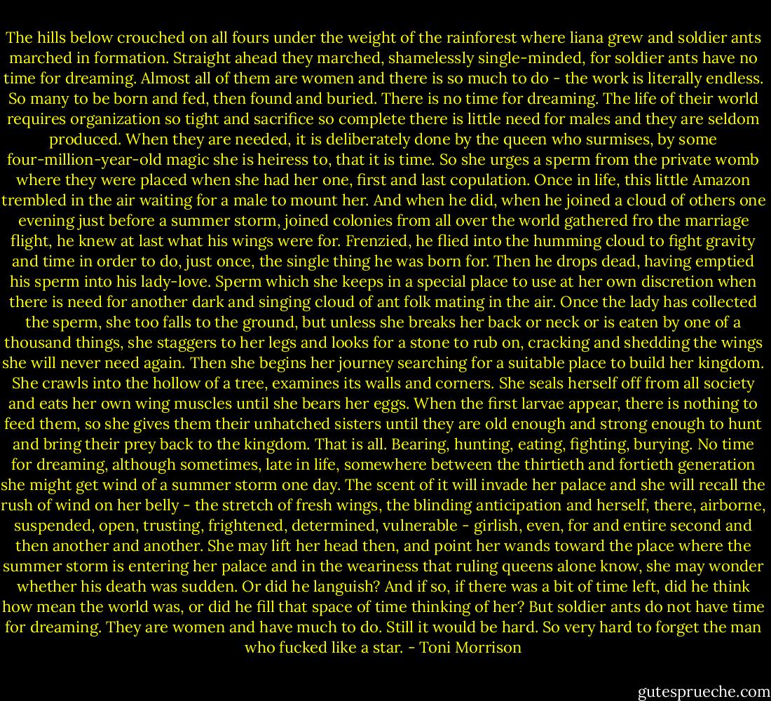 The hills below crouched on all fours under the weight of the rainforest where liana grew and soldier ants marched in formation. Straight ahead they marched, shamelessly single-minded, for soldier ants have no time for dreaming. Almost all of them are women and there is so much to do - the work is literally endless. So many to be born and fed, then found and buried. There is no time for dreaming. The life of their world requires organization so tight and sacrifice so complete there is little need for males and they are seldom produced. When they are needed, it is deliberately done by the queen who surmises, by some four-million-year-old magic she is heiress to, that it is time. So she urges a sperm from the private womb where they were placed when she had her one, first and last copulation. Once in life, this little Amazon trembled in the air waiting for a male to mount her. And when he did, when he joined a cloud of others one evening just before a summer storm, joined colonies from all over the world gathered fro the marriage flight, he knew at last what his wings were for. Frenzied, he flied into the humming cloud to fight gravity and time in order to do, just once, the single thing he was born for. Then he drops dead, having emptied his sperm into his lady-love. Sperm which she keeps in a special place to use at her own discretion when there is need for another dark and singing cloud of ant folk mating in the air. Once the lady has collected the sperm, she too falls to the ground, but unless she breaks her back or neck or is eaten by one of a thousand things, she staggers to her legs and looks for a stone to rub on, cracking and shedding the wings she will never need again. Then she begins her journey searching for a suitable place to build her kingdom. She crawls into the hollow of a tree, examines its walls and corners. She seals herself off from all society and eats her own wing muscles until she bears her eggs. When the first larvae appear, there is nothing to feed them, so she gives them their unhatched sisters until they are old enough and strong enough to hunt and bring their prey back to the kingdom. That is all. Bearing, hunting, eating, fighting, burying. No time for dreaming, although sometimes, late in life, somewhere between the thirtieth and fortieth generation she might get wind of a summer storm one day. The scent of it will invade her palace and she will recall the rush of wind on her belly - the stretch of fresh wings, the blinding anticipation and herself, there, airborne, suspended, open, trusting, frightened, determined, vulnerable - girlish, even, for and entire second and then another and another. She may lift her head then, and point her wands toward the place where the summer storm is entering her palace and in the weariness that ruling queens alone know, she may wonder whether his death was sudden. Or did he languish? And if so, if there was a bit of time left, did he think how mean the world was, or did he fill that space of time thinking of her? But soldier ants do not have time for dreaming. They are women and have much to do. Still it would be hard. So very hard to forget the man who fucked like a star. - Toni Morrison