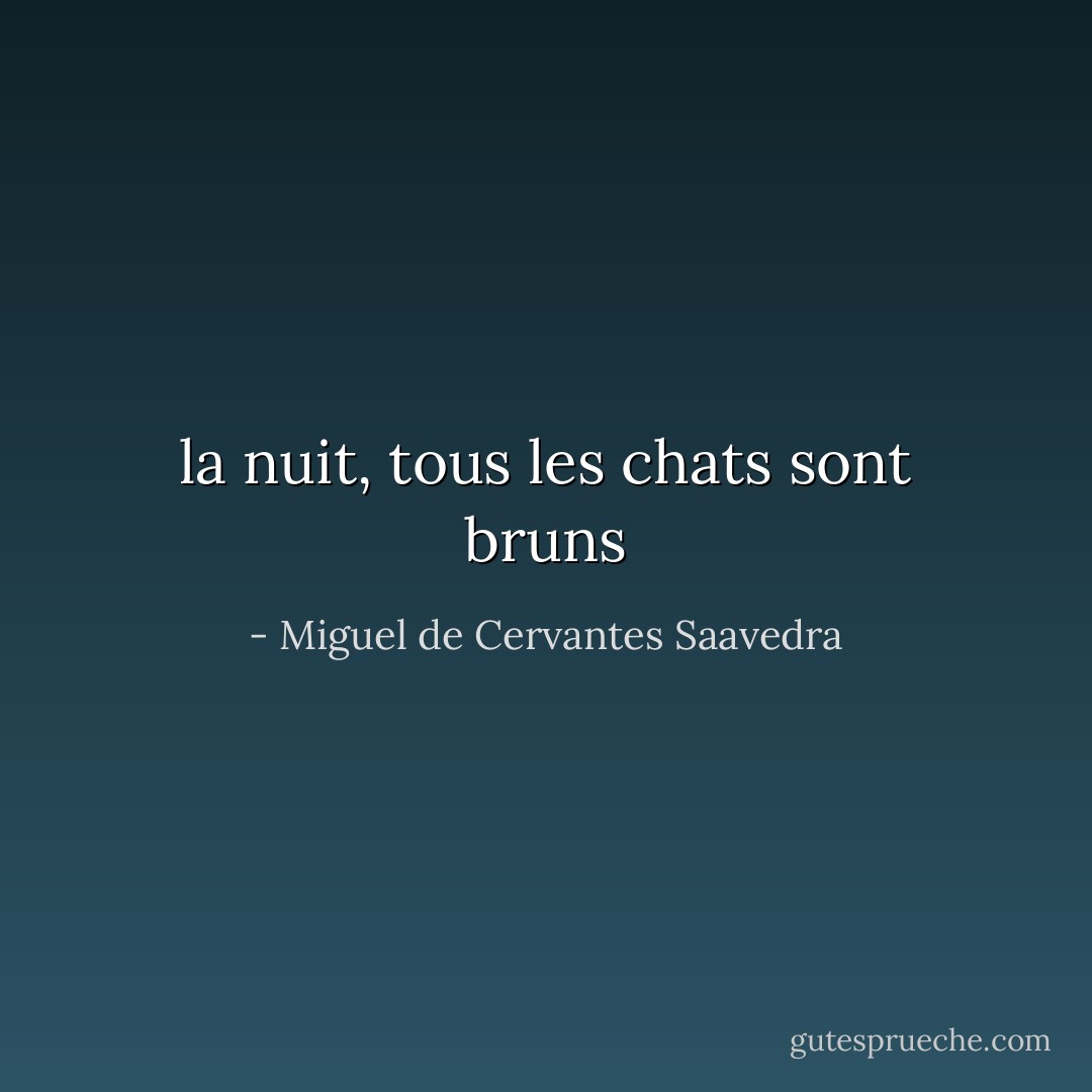 la nuit, tous les chats sont bruns - Miguel de Cervantes Saavedra