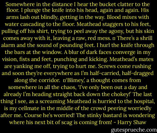 Somewhere in the distance I hear the bucket clatter to the floor. I plunge the knife into his head, again and again. His arms lash out blindly, getting in the way. Blood mixes with water cascading to the floor. Meathead staggers to his feet, pulling off his shirt, trying to peel away the agony, but his skin comes away with it, leaving a raw, red mess.<br />	<br />There’s a shrill alarm and the sound of pounding feet. I hurl the knife through the bars at the window. A blur of dark faces converge in my vision, fists and feet, punching and kicking. Meathead’s mates are yanking me off, trying to hurt me. Screws come rushing and soon they’re everywhere as I’m half-carried, half-dragged along the corridor.<br /><br />	‘Blimey,’ a thought comes from somewhere in all the chaos, ‘I’ve only been out a day and already I’m heading straight back down the chokey!’ The last thing I see, as a screaming Meathead is hurried to the hospital, is my cellmate in the middle of the crowd peering worriedly after me. Course he’s worried! The stinky bastard is wondering where his next bit of scag is coming from! - Harry Shaw