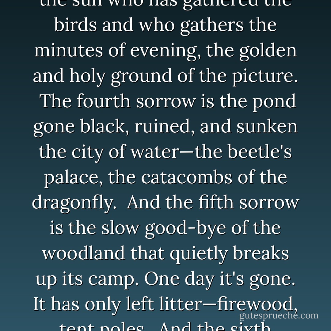 The first sorrow of autumn is the slow good-bye of the garden that stands so long in the evening—a brown poppy head, the stalk of a lily, and still cannot go.<br /><br />The second sorrow is the empty feet of a pheasant who hangs from a hook with his brothers. The woodland of gold is folded in feathers with its head in a bag.<br /><br />And the third sorrow is the slow good-bye of the sun who has gathered the birds and who gathers the minutes of evening, the golden and holy ground of the picture.<br /><br />The fourth sorrow is the pond gone black, ruined, and sunken the city of water—the beetle's palace, the catacombs of the dragonfly.<br /><br />And the fifth sorrow is the slow good-bye of the woodland that quietly breaks up its camp. One day it's gone. It has only left litter—firewood, tent poles.<br /><br />And the sixth sorrow is the fox's sorrow, the joy of the huntsman, the joy of the hounds, the hooves that pound; till earth closes her ear to the fox's prayer.<br /><br />And the seventh sorrow is the slow good-bye of the face with its wrinkles that looks through the window as the year packs up like a tatty fairground that came for the children. - Ted Hughes