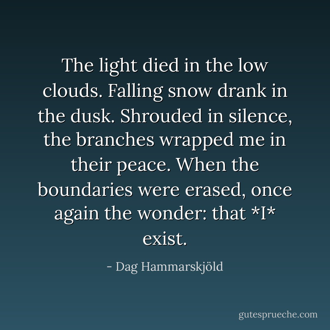 The light died in the low clouds. Falling snow drank in the dusk. Shrouded in silence, the branches wrapped me in their peace. When the boundaries were erased, once again the wonder: that *I* exist. - Dag Hammarskjöld