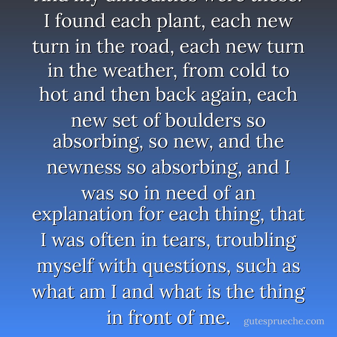 And my difficulties were these: I found each plant, each new turn in the road, each new turn in the weather, from cold to hot and then back again, each new set of boulders so absorbing, so new, and the newness so absorbing, and I was so in need of an explanation for each thing, that I was often in tears, troubling myself with questions, such as what am I and what is the thing in front of me. - Jamaica Kincaid