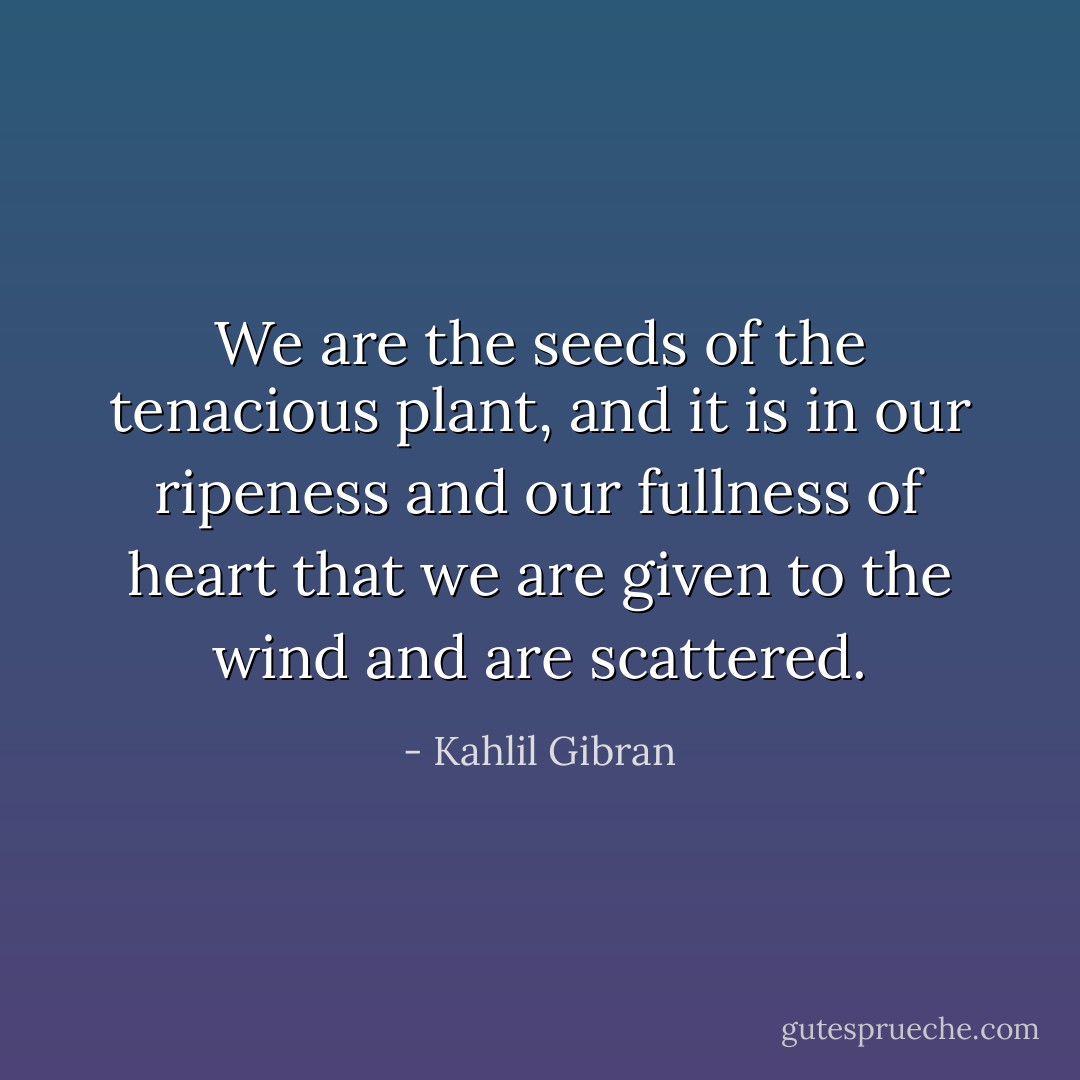 We are the seeds of the tenacious plant, and it is in our ripeness and our fullness of heart that we are given to the wind and are scattered. - Kahlil Gibran