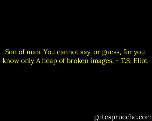 Son of man,<br />You cannot say, or guess, for you know only<br />A heap of broken images, - T.S. Eliot