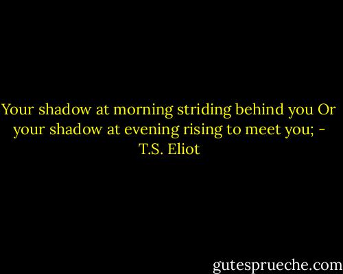 Your shadow at morning striding behind you<br />Or your shadow at evening rising to meet you; - T.S. Eliot