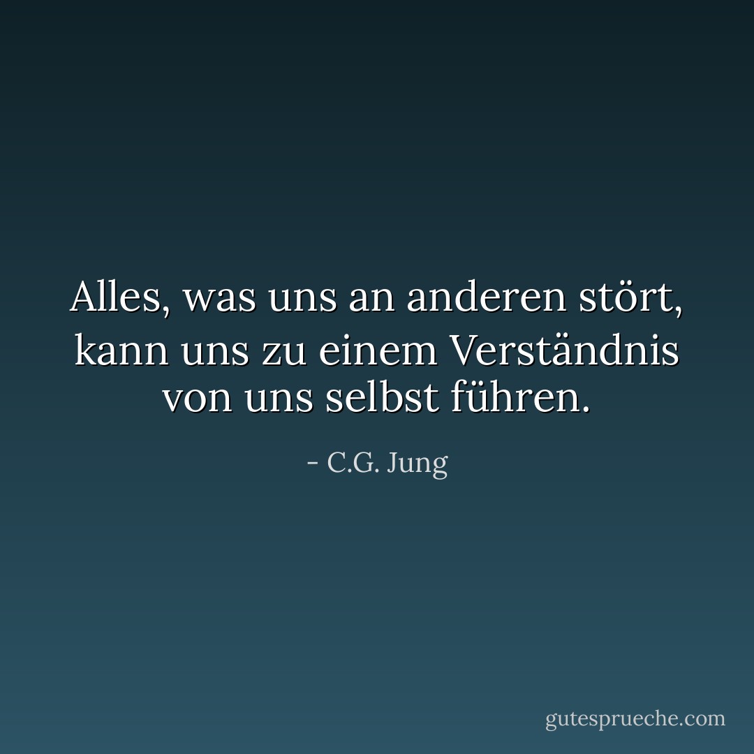 Alles, was uns an anderen stört, kann uns zu einem Verständnis von uns selbst führen. - C.G. Jung<