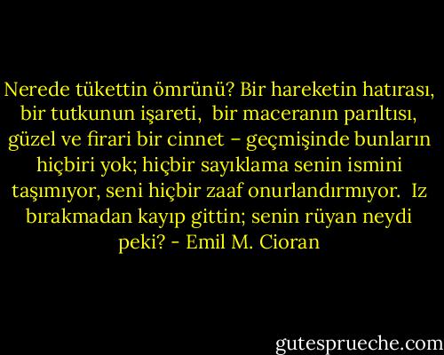 Nerede tükettin ömrünü? Bir hareketin hatırası, bir tutkunun işareti, <br />bir maceranın parıltısı, güzel ve firari bir cinnet – geçmişinde bunların hiçbiri yok;<br />hiçbir sayıklama senin ismini taşımıyor, seni hiçbir zaaf onurlandırmıyor. <br />Iz bırakmadan kayıp gittin; senin rüyan neydi peki? - Emil M. Cioran