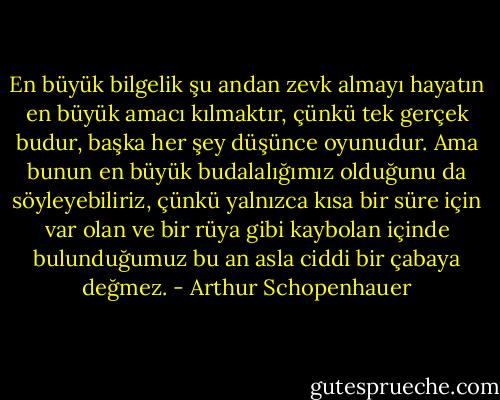 En büyük bilgelik şu andan zevk almayı hayatın en büyük amacı kılmaktır, çünkü tek gerçek budur, başka her şey düşünce oyunudur. Ama bunun en büyük budalalığımız olduğunu da söyleyebiliriz, çünkü yalnızca kısa bir süre için var olan ve bir rüya gibi kaybolan içinde bulunduğumuz bu an asla ciddi bir çabaya değmez. - Arthur Schopenhauer