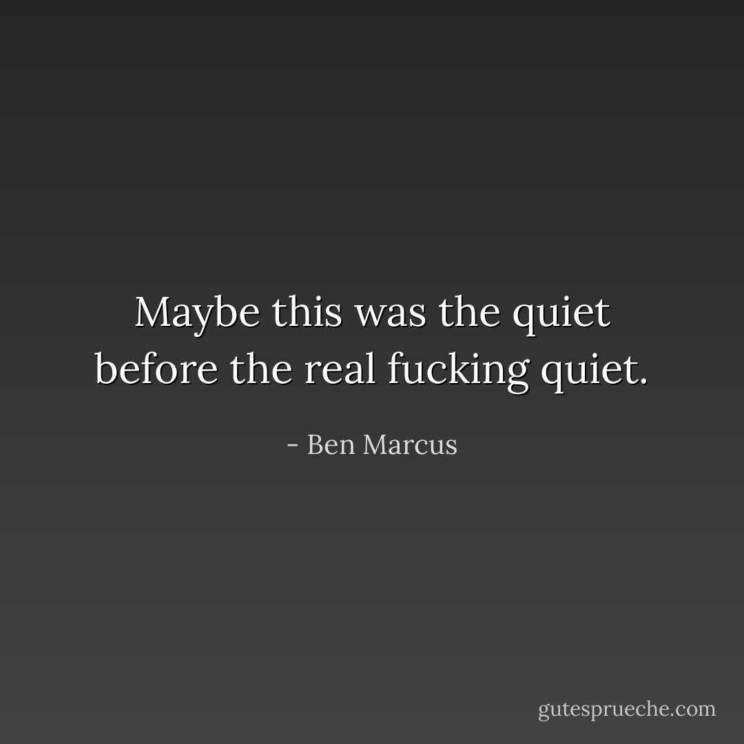 Maybe this was the quiet before the real fucking quiet. - Ben Marcus
