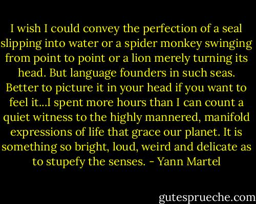 I wish I could convey the perfection of a seal slipping into water or a spider monkey swinging from point to point or a lion merely turning its head. But language founders in such seas. Better to picture it in your head if you want to feel it...I spent more hours than I can count a quiet witness to the highly mannered, manifold expressions of life that grace our planet. It is something so bright, loud, weird and delicate as to stupefy the senses. - Yann Martel