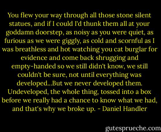 You flew your way through all those stone silent statues, and if I could I'd thunk them all at your goddamn doorstep, as noisy as you were quiet, as furious as we were giggly, as cold and scornful as I was breathless and hot watching you cat burglar for evidence and come back shrugging and empty-handed so we still didn't know, we still couldn't be sure, not until everything was developed...But we never developed them. Undeveloped, the whole thing, tossed into a box before we really had a chance to know what we had, and that's why we broke up. - Daniel Handler