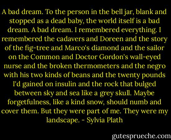 A bad dream.<br />To the person in the bell jar, blank and stopped as a dead baby, the world itself is a bad dream.<br />A bad dream.<br />I remembered everything.<br />I remembered the cadavers and Doreen and the story of the fig-tree and Marco's diamond and the sailor on the Common and Doctor Gordon's wall-eyed nurse and the broken thermometers and the negro with his two kinds of beans and the twenty pounds I'd gained on insulin and the rock that bulged between sky and sea like a grey skull.<br />Maybe forgetfulness, like a kind snow, should numb and cover them.<br />But they were part of me. They were my landscape. - Sylvia Plath