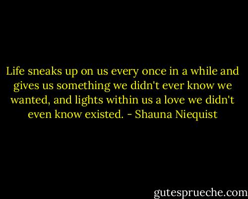 Life sneaks up on us every once in a while and gives us something we didn't ever know we wanted, and lights within us a love we didn't even know existed. - Shauna Niequist