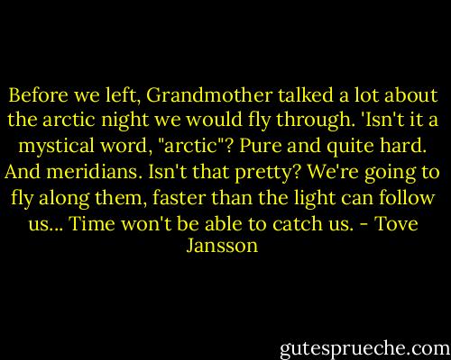 Before we left, Grandmother talked a lot about the arctic night we would fly through. 'Isn't it a mystical word, "arctic"? Pure and quite hard. And meridians. Isn't that pretty? We're going to fly along them, faster than the light can follow us... Time won't be able to catch us. - Tove Jansson