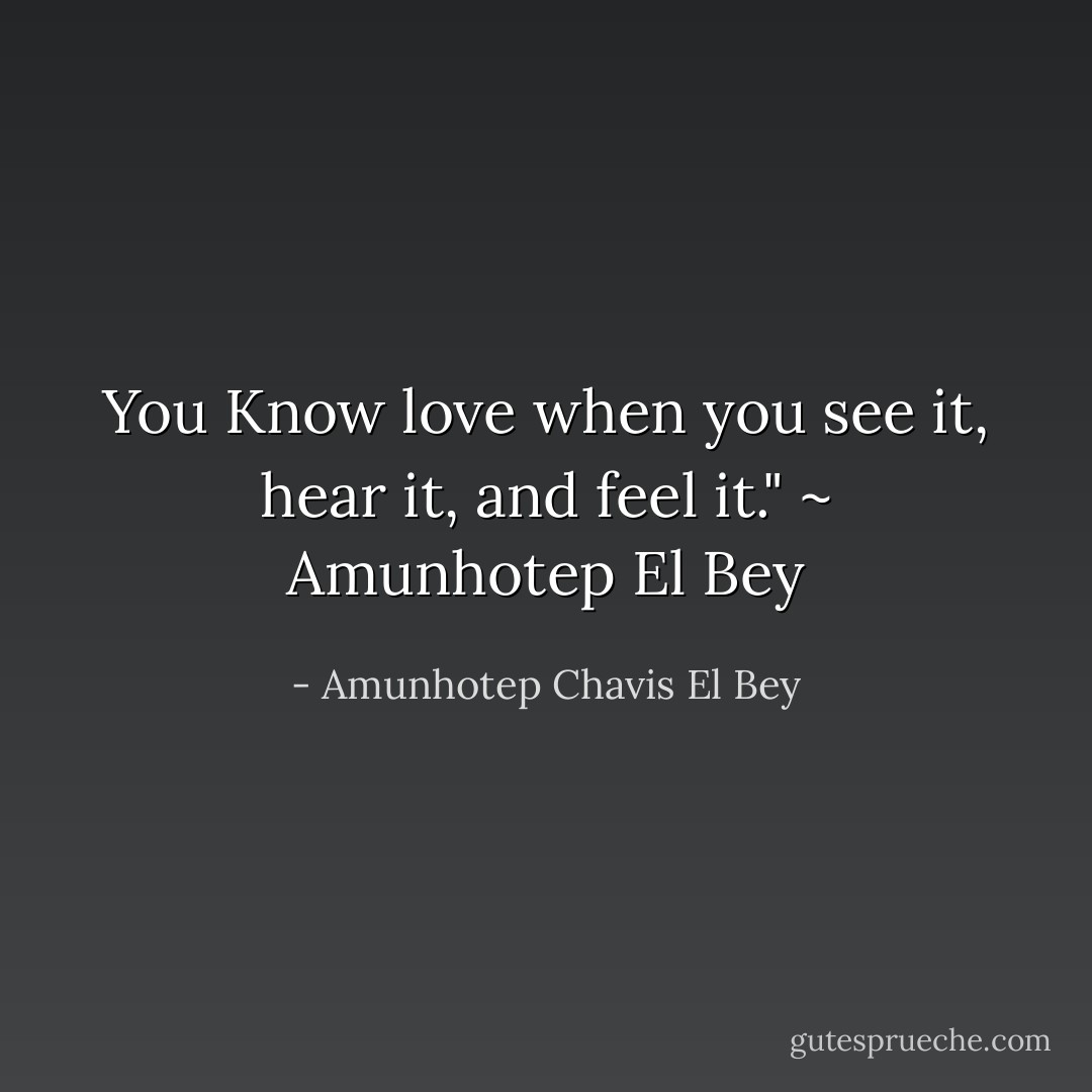 You Know love when you see it, hear it, and feel it." ~ Amunhotep El Bey - Amunhotep Chavis El Bey