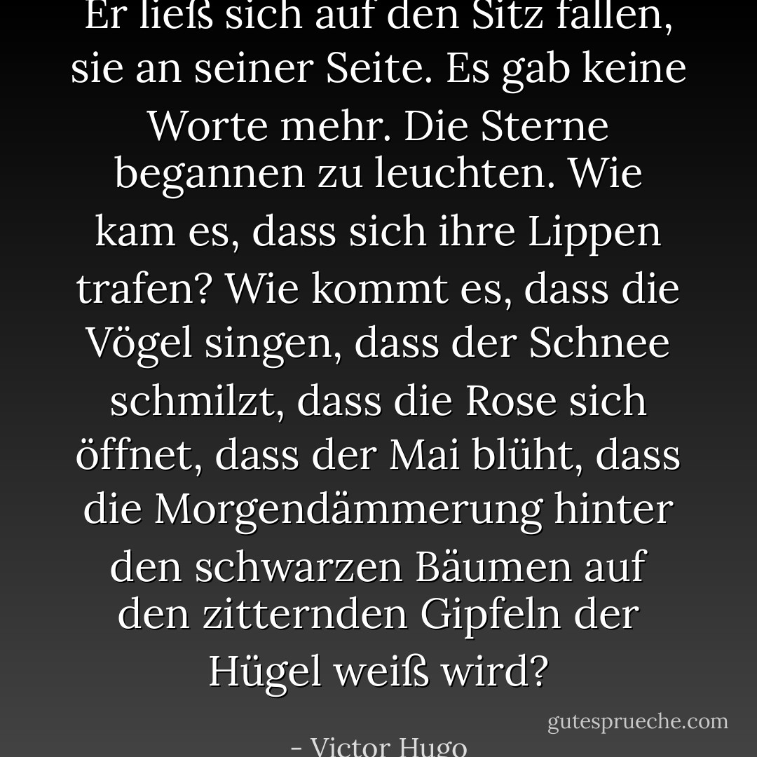 Er ließ sich auf den Sitz fallen, sie an seiner Seite. Es gab keine Worte mehr. Die Sterne begannen zu leuchten. Wie kam es, dass sich ihre Lippen trafen? Wie kommt es, dass die Vögel singen, dass der Schnee schmilzt, dass die Rose sich öffnet, dass der Mai blüht, dass die Morgendämmerung hinter den schwarzen Bäumen auf den zitternden Gipfeln der Hügel weiß wird? - Victor Hugo<