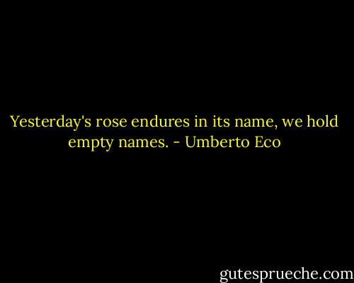 Yesterday's rose endures in its name, we hold empty names. - Umberto Eco