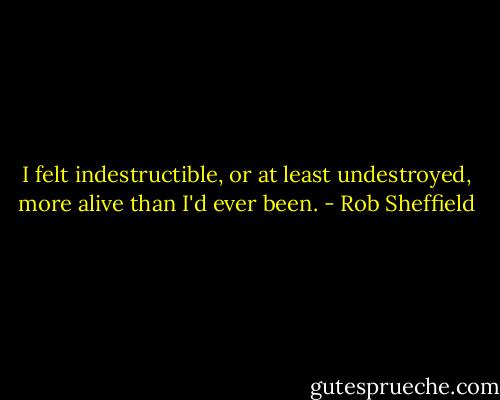 I felt indestructible, or at least undestroyed, more alive than I'd ever been. - Rob Sheffield