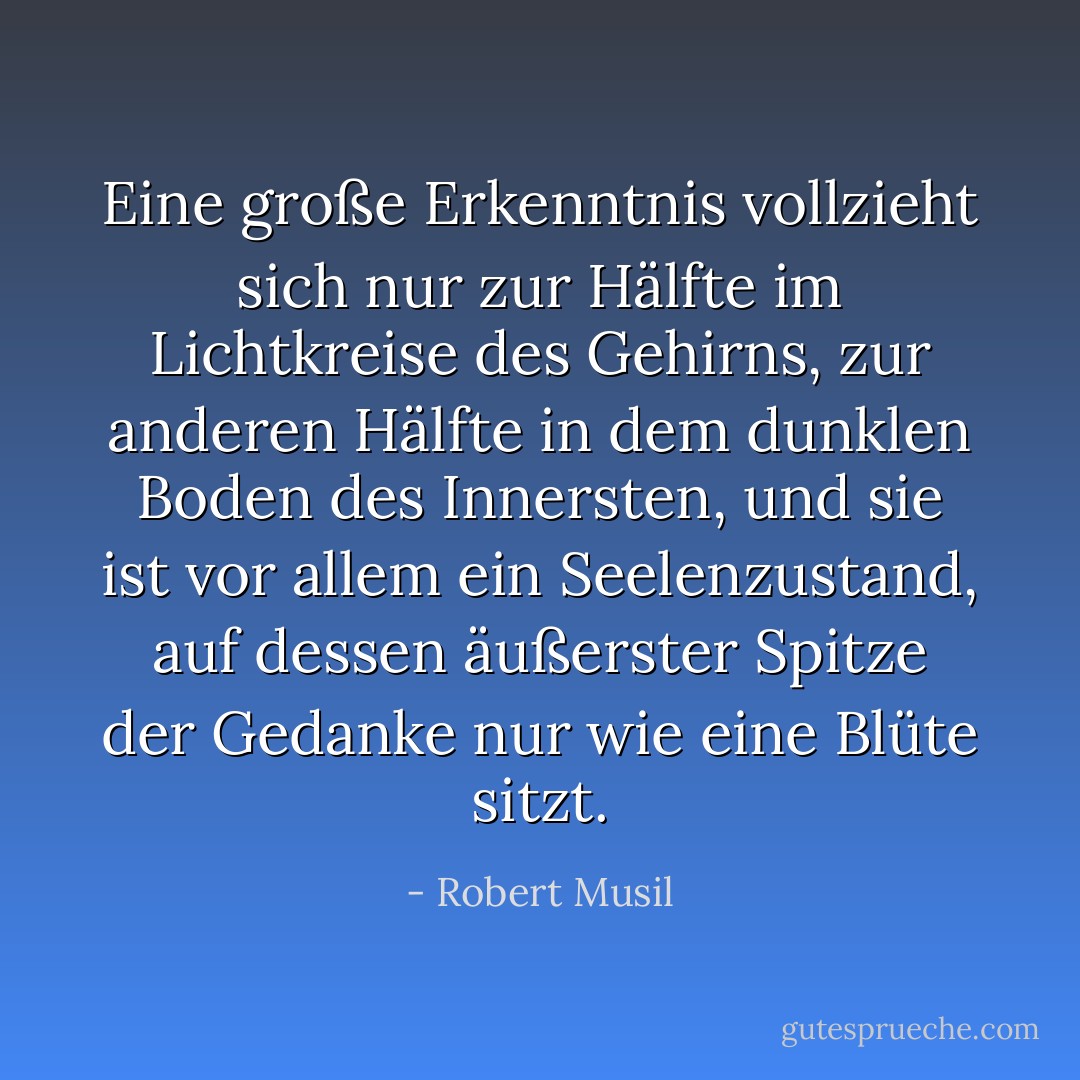 Eine große Erkenntnis vollzieht sich nur zur Hälfte im Lichtkreise des Gehirns, zur anderen Hälfte in dem dunklen Boden des Innersten, und sie ist vor allem ein Seelenzustand, auf dessen äußerster Spitze der Gedanke nur wie eine Blüte sitzt. - Robert Musil