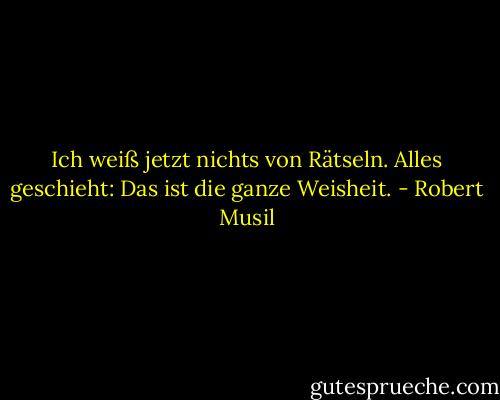 Ich weiß jetzt nichts von Rätseln. Alles geschieht: Das ist die ganze Weisheit. - Robert Musil