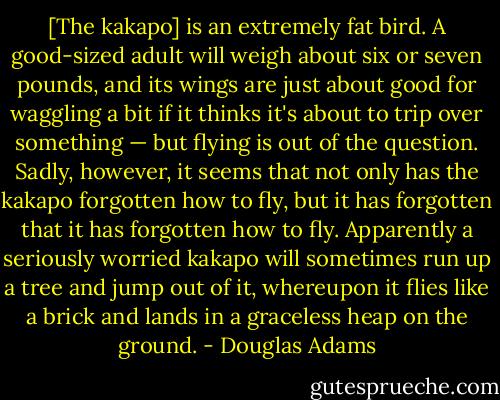 [The kakapo] is an extremely fat bird. A good-sized adult will weigh about six or seven pounds, and its wings are just about good for waggling a bit if it thinks it's about to trip over something — but flying is out of the question. Sadly, however, it seems that not only has the kakapo forgotten how to fly, but it has forgotten that it has forgotten how to fly. Apparently a seriously worried kakapo will sometimes run up a tree and jump out of it, whereupon it flies like a brick and lands in a graceless heap on the ground. - Douglas Adams