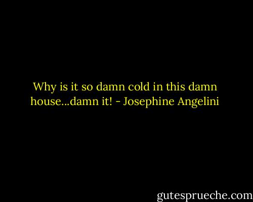 Why is it so damn cold in this damn house...damn it! - Josephine Angelini
