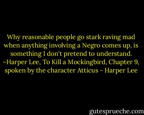 Why reasonable people go stark raving mad when anything involving a Negro comes up, is something I don't pretend to understand. ~Harper Lee, To Kill a Mockingbird, Chapter 9, spoken by the character Atticus - Harper Lee