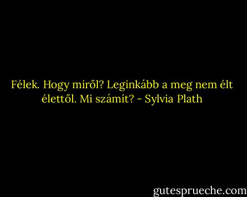 Félek. Hogy miről? Leginkább a meg nem élt élettől. Mi számít? - Sylvia Plath