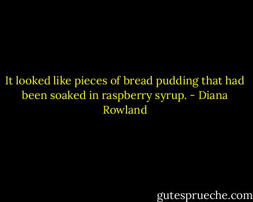 It looked like pieces of bread pudding that had been soaked in raspberry syrup. - Diana Rowland