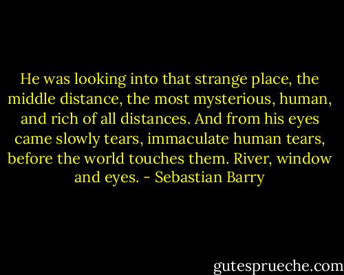 He was looking into that strange place, the middle distance, the most mysterious, human, and rich of all distances. And from his eyes came slowly tears, immaculate human tears, before the world touches them. River, window and eyes. - Sebastian Barry