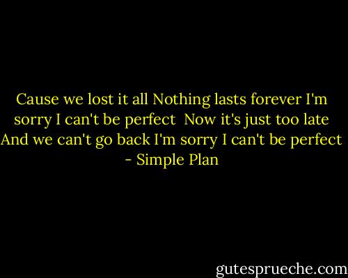 Cause we lost it all<br />Nothing lasts forever<br />I'm sorry I can't be perfect<br /><br />Now it's just too late<br />And we can't go back<br />I'm sorry I can't be perfect - Simple Plan