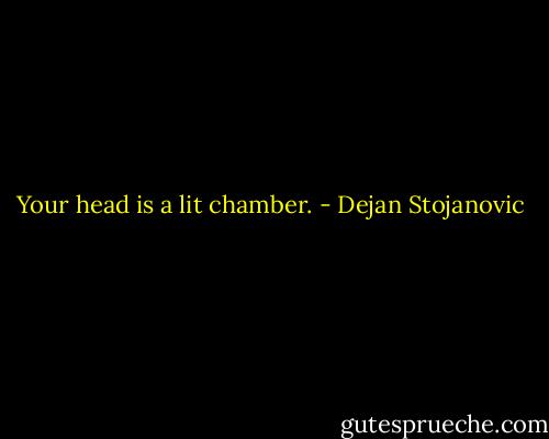 Your head is a lit chamber. - Dejan Stojanovic