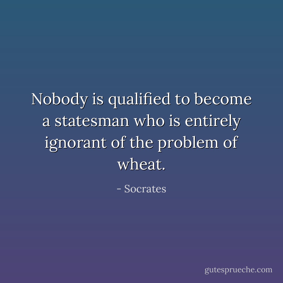 Nobody is qualified to become a statesman who is entirely ignorant of the problem of wheat. - Socrates