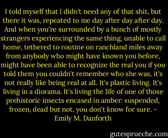 I told myself that I didn't need any of that shit, but there it was, repeated to me day after day after day. And when you're surrounded by a bunch of mostly strangers experiencing the same thing, unable to call home, tethered to routine on ranchland miles away from anybody who might have known you before, might have been able to recognize the real you if you told them you couldn't remember who she was, it's not really like being real at all. It's plastic living. It's living in a diorama. It's living the life of one of those prehistoric insects encased in amber: suspended, frozen, dead but not, you don't know for sure. - Emily M. Danforth