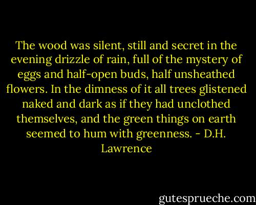 The wood was silent, still and secret in the evening drizzle of rain, full of the mystery of eggs and half-open buds, half unsheathed flowers. In the dimness of it all trees glistened naked and dark as if they had unclothed themselves, and the green things on earth seemed to hum with greenness. - D.H. Lawrence