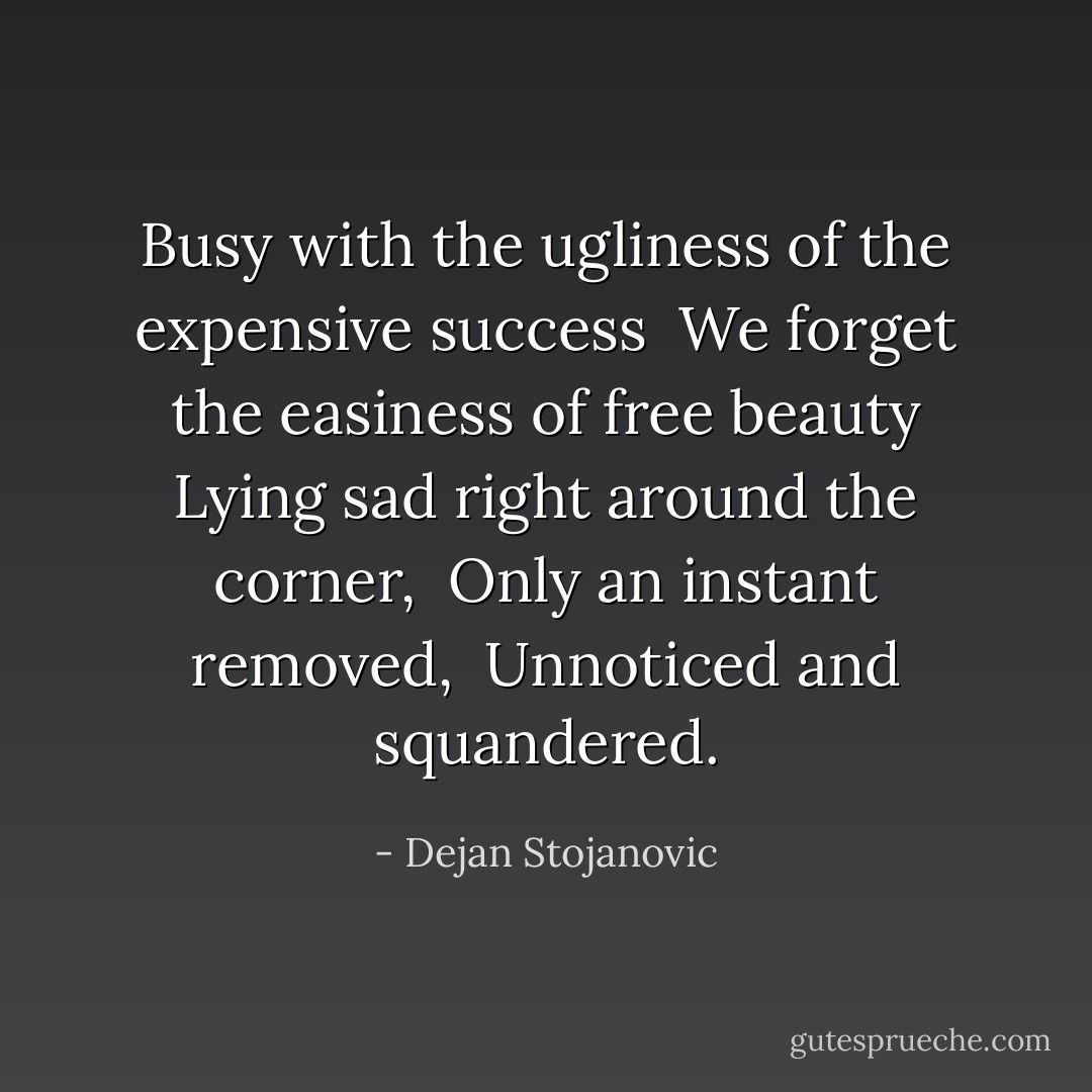Busy with the ugliness of the expensive success <br />We forget the easiness of free beauty<br />Lying sad right around the corner, <br />Only an instant removed, <br />Unnoticed and squandered. - Dejan Stojanovic