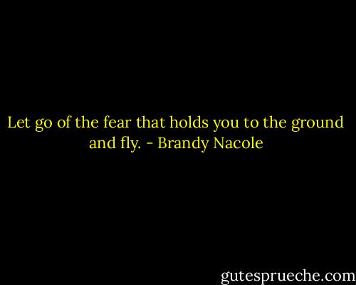 Let go of the fear that holds you to the ground and fly. - Brandy Nacole