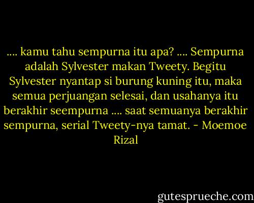.... kamu tahu sempurna itu apa? .... Sempurna adalah Sylvester makan Tweety. Begitu Sylvester nyantap si burung kuning itu, maka semua perjuangan selesai, dan usahanya itu berakhir seempurna .... saat semuanya berakhir sempurna, serial Tweety-nya tamat. - Moemoe Rizal