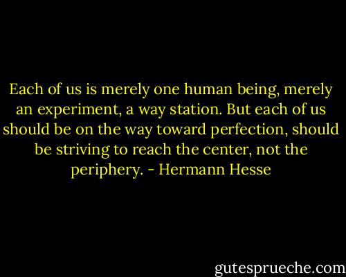 Each of us is merely one human being, merely an experiment, a way station. But each of us should be on the way toward perfection, should be striving to reach the center, not the periphery. - Hermann Hesse