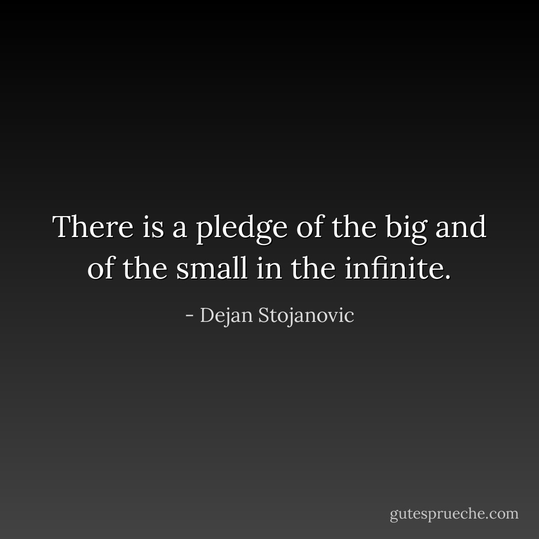 There is a pledge of the big and of the small in the infinite. - Dejan Stojanovic