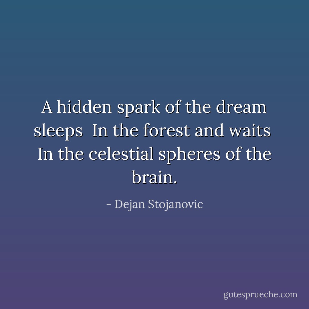 A hidden spark of the dream sleeps <br />In the forest and waits <br />In the celestial spheres of the brain. - Dejan Stojanovic